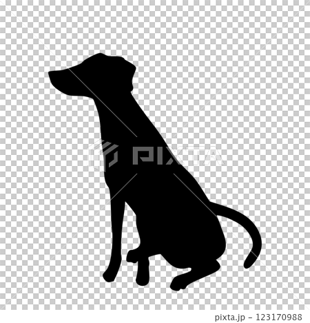 Sitting dog hound or pointer monochrome silhouette illustration 123170988