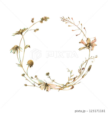 Field, meadow, wild flowers and herbs cosmos, chamomile, clover and insects. Watercolor illustration hand drawn in beige, brown and ocher colors. Circle wreath frame isolated from background 123171181