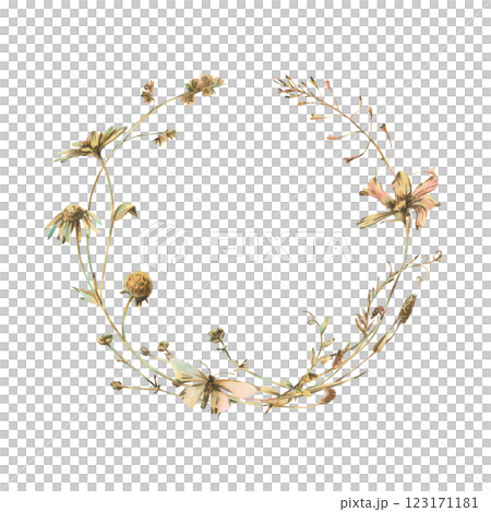 Field, meadow, wild flowers and herbs cosmos, chamomile, clover and insects. Watercolor illustration hand drawn in beige, brown and ocher colors. Circle wreath frame isolated from background 123171181