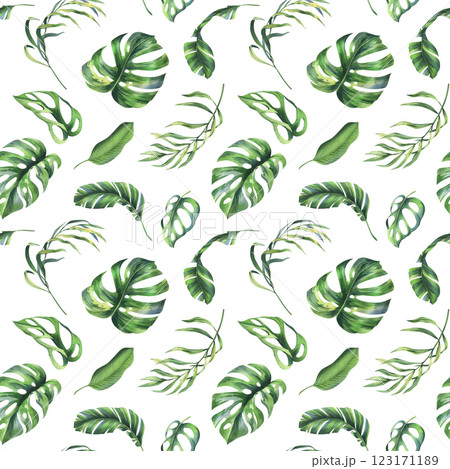 Tropical coconut, banana palm leaves, monstera, monkey mask, frangipani, bright juicy green. Hand drawn watercolor botanical illustration. Seamless pattern on a white background. 123171189