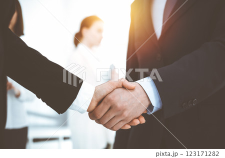 Businessman and woman shaking hands with colleagues at the background. Handshake at meeting in sunny office 123171282