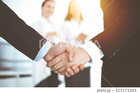 Businessman and woman shaking hands with colleagues at the background. Handshake at meeting in sunny office 123171303