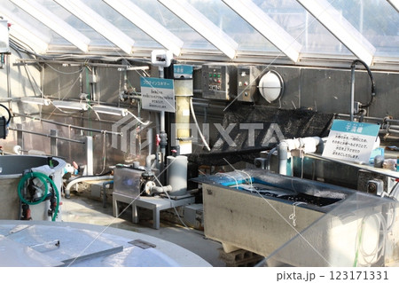 葛西臨海水族園の裏側 123171331