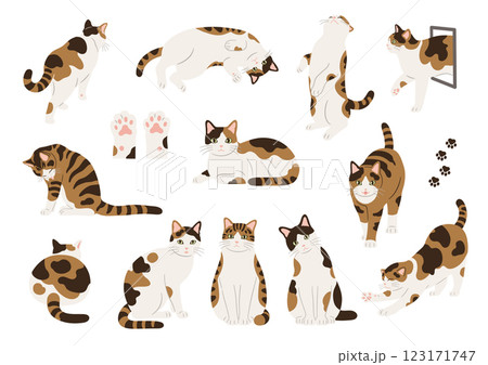 三毛猫の手描きイラストセット 123171747