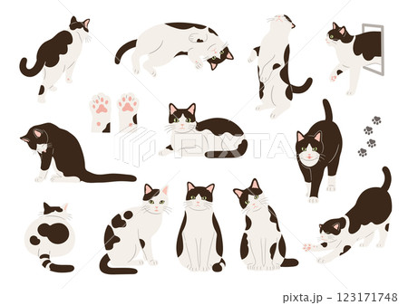 白黒猫の手描きイラストセット 123171748