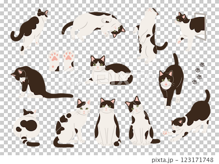 白黒猫の手描きイラストセット 123171748