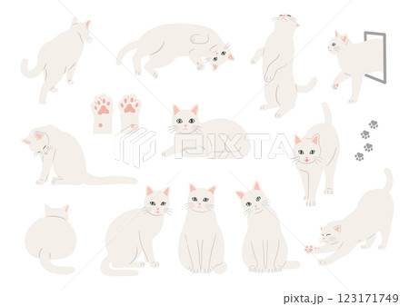 白猫の手描きイラストセット 123171749