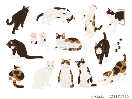 猫の手描きイラストセット 猫の手描きイラストセット 123171750