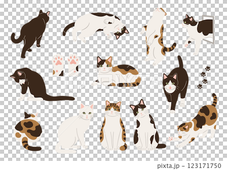 猫の手描きイラストセット 猫の手描きイラストセット 123171750