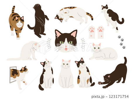 猫の手描きイラストセット 123171754