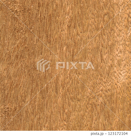 Walnut wood texture, can be used as background, wood grain texture 123172104