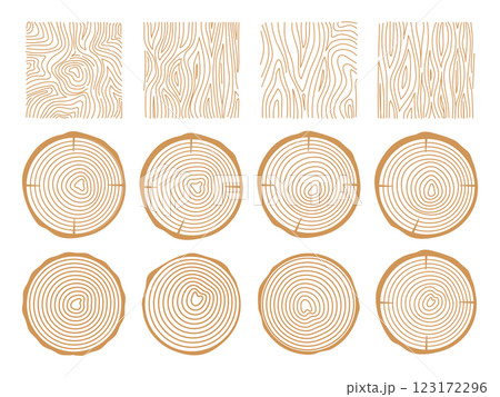 Tree rings. Wood texture . Abstract circle tree background. 123172296