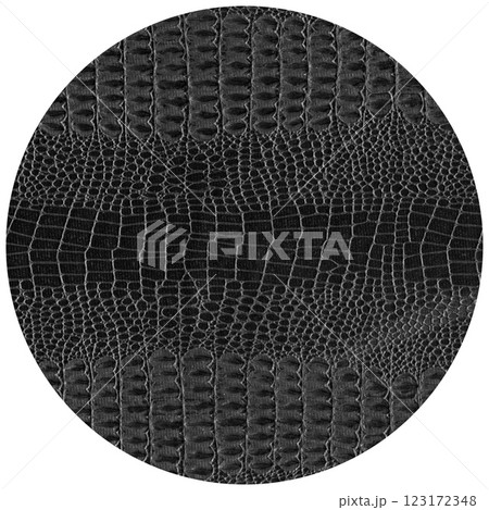 Imitation crocodile skin black and white texture, useful as background for any design work 123172348