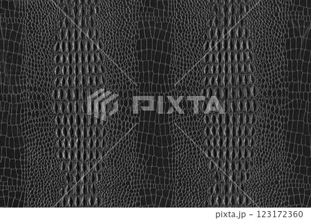Imitation crocodile skin black and white texture, useful as background for any design work 123172360