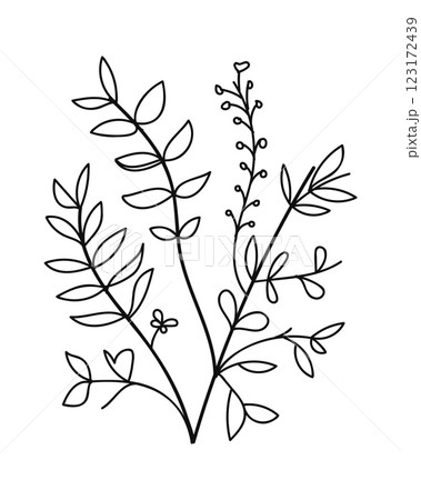 Tropical floral line art. Design element with tropical and floral theme. Tropical floral line art. Design element with tropical and floral theme. 123172439