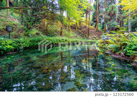 【#熊本】白川水源 123172560