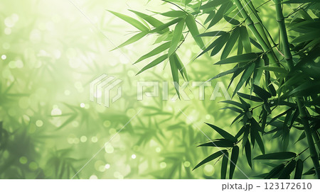 Nature of green bamboo tree in forest background. 123172610