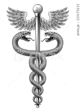 Caduceus Medical Asclepius Rod Doctor Symbol Icon 123173212
