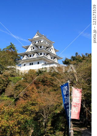 郡上八幡城 郡上八幡城 123173539