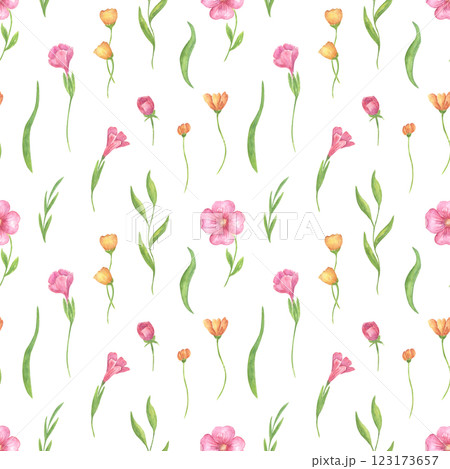 Watercolor seamless floral pattern with delicate summer, spring violets, pink and yellow flowers. Botanical design of meadow grasses for textiles, fabrics, and rustic wallpaper. Watercolor seamless floral pattern with delicate summer, spring violets, pink and yellow flowers. Botanical design of meadow grasses for textiles, fabrics, and rustic wallpaper. 123173657