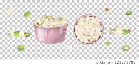Lotus Seed heap in ceramic pink bowls watercolor illustration. White peeled and green unpeeled water lily nuts. Side view and top view. Pile of raw tasty vegan food. For kitchen inspired designs 123173793