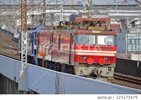 武蔵野線 西浦和-北朝霞 JR貨物 EF210-104(吹田)+EH800-13(五稜郭) 武蔵野線 西浦和-北朝霞 JR貨物 EF210-104(吹田)+EH800-13(五稜郭) 123173879