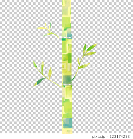 繪本風格竹子插畫 123174258