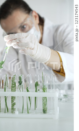 Woman scientist researcher with white gloves, face mask and protective glasses, is holding a test tube with plants inside in laboratory setting, vertical view. Science and medicine concept Woman scientist researcher with white gloves, face mask and protective glasses, is holding a test tube with plants inside in laboratory setting, vertical view. Science and medicine concept 123174543