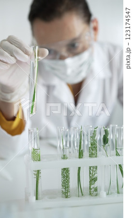 Woman scientist researcher with white gloves, face mask and protective glasses, is holding a test tube with plants inside in laboratory setting, vertical view. Science and medicine concept 123174547