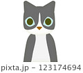 無表情のタキシード猫 123174694