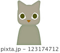 無表情のグレー猫 123174712