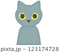 無表情の緑色の猫 123174728