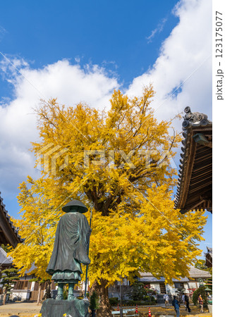 【第5番札所】地蔵寺　修行大師像とたらちね大銀杏【四国八十八箇所】 123175077