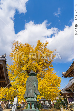 【第5番札所】地蔵寺 修行大師像とたらちね大銀杏【四国八十八箇所】 【第5番札所】地蔵寺 修行大師像とたらちね大銀杏【四国八十八箇所】 123175080
