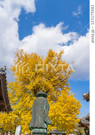 【第5番札所】地蔵寺 修行大師像とたらちね大銀杏【四国八十八箇所】 【第5番札所】地蔵寺 修行大師像とたらちね大銀杏【四国八十八箇所】 123175081
