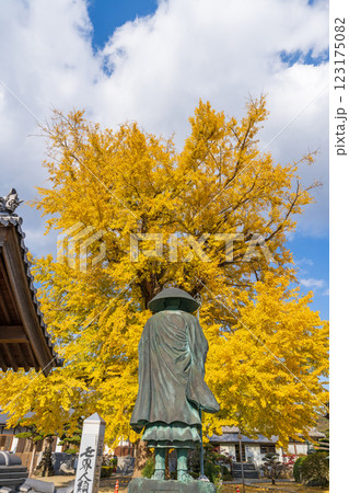 【第5番札所】地蔵寺 修行大師像とたらちね大銀杏【四国八十八箇所】 【第5番札所】地蔵寺 修行大師像とたらちね大銀杏【四国八十八箇所】 123175082