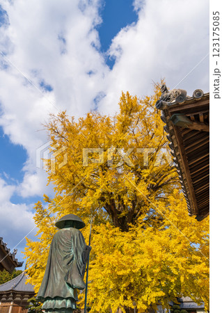 【第5番札所】地蔵寺 修行大師像とたらちね大銀杏【四国八十八箇所】 【第5番札所】地蔵寺 修行大師像とたらちね大銀杏【四国八十八箇所】 123175085