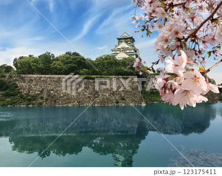 桜と大阪城 123175411