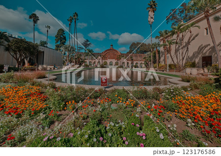 The Botanical Building is a historic building in Balboa Park, San Diego, California , USA. it remains one of the largest lath structures in the world. The Botanical Building is a historic building in Balboa Park, San Diego, California , USA. it remains one of the largest lath structures in the world. 123176586