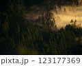 Aerial view of breathtaking sunset with clouds slowly rolling over the treeline 123177369