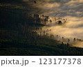 Aerial view of breathtaking sunset with clouds slowly rolling over the treeline 123177378
