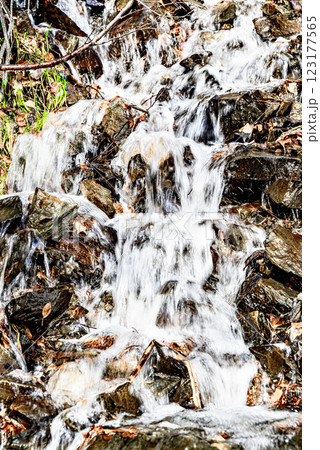 Waterfall, small water source on the slope of Lake Saint Maurice, in the Aigues Tortes National Park, Lleida Waterfall, small water source on the slope of Lake Saint Maurice, in the Aigues Tortes National Park, Lleida 123177565