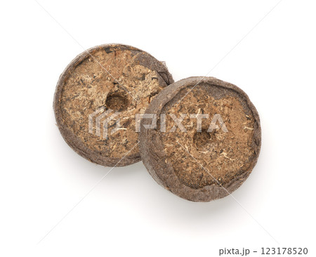 Two seed starting peat pellets 123178520