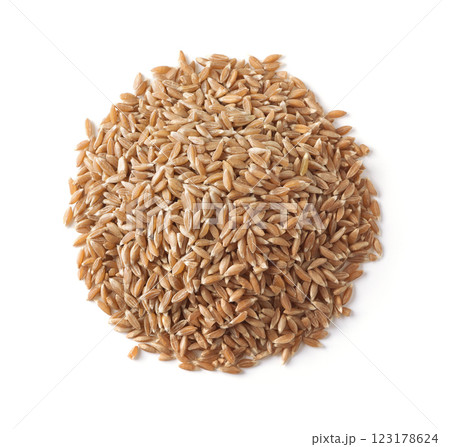 Top view of uncooked spelt wheat grains Top view of uncooked spelt wheat grains 123178624
