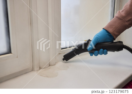 Efficient Steam Cleaning of Windows Utilizing Specialized Professional Equipment and Tools 123179075