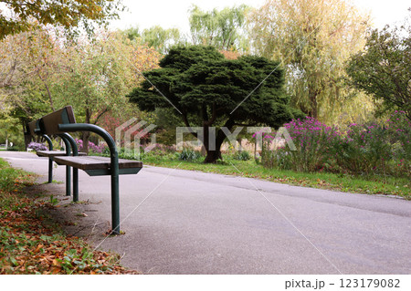 Alley and bench in Donaupark, Vienna, Austria - selective focus Alley and bench in Donaupark, Vienna, Austria - selective focus 123179082
