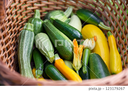 Fresh different kind zucchini and squash in wicker basket Fresh different kind zucchini and squash in wicker basket 123179267