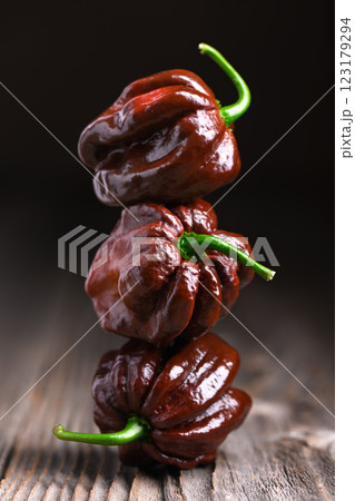 Three ripened chocolate habanero peppers 123179294