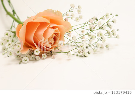 薔薇とカスミソウの花束 薔薇とカスミソウの花束 123179419