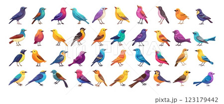 Small birds cartoon vector set. Sparrow starling swallow feathers tails wings beaks soaring tit flying forest wildlife animals, isolated illustrations on white background 123179442